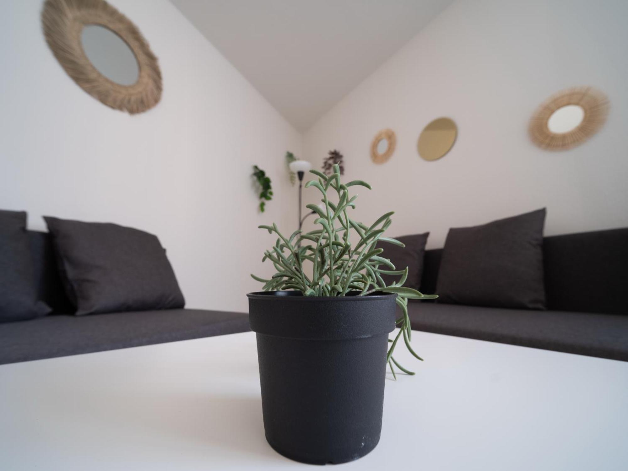 Appartement Tout Equipe A 6Min De La Gare St Charles Marseille Kültér fotó